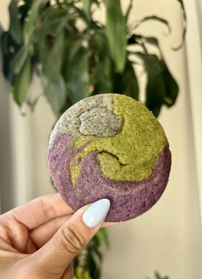 Neapolitan Cookie