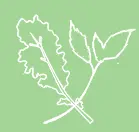 matchaandkale